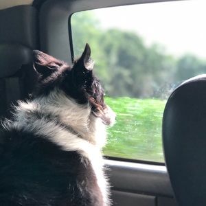 Meet your Posher, Alex